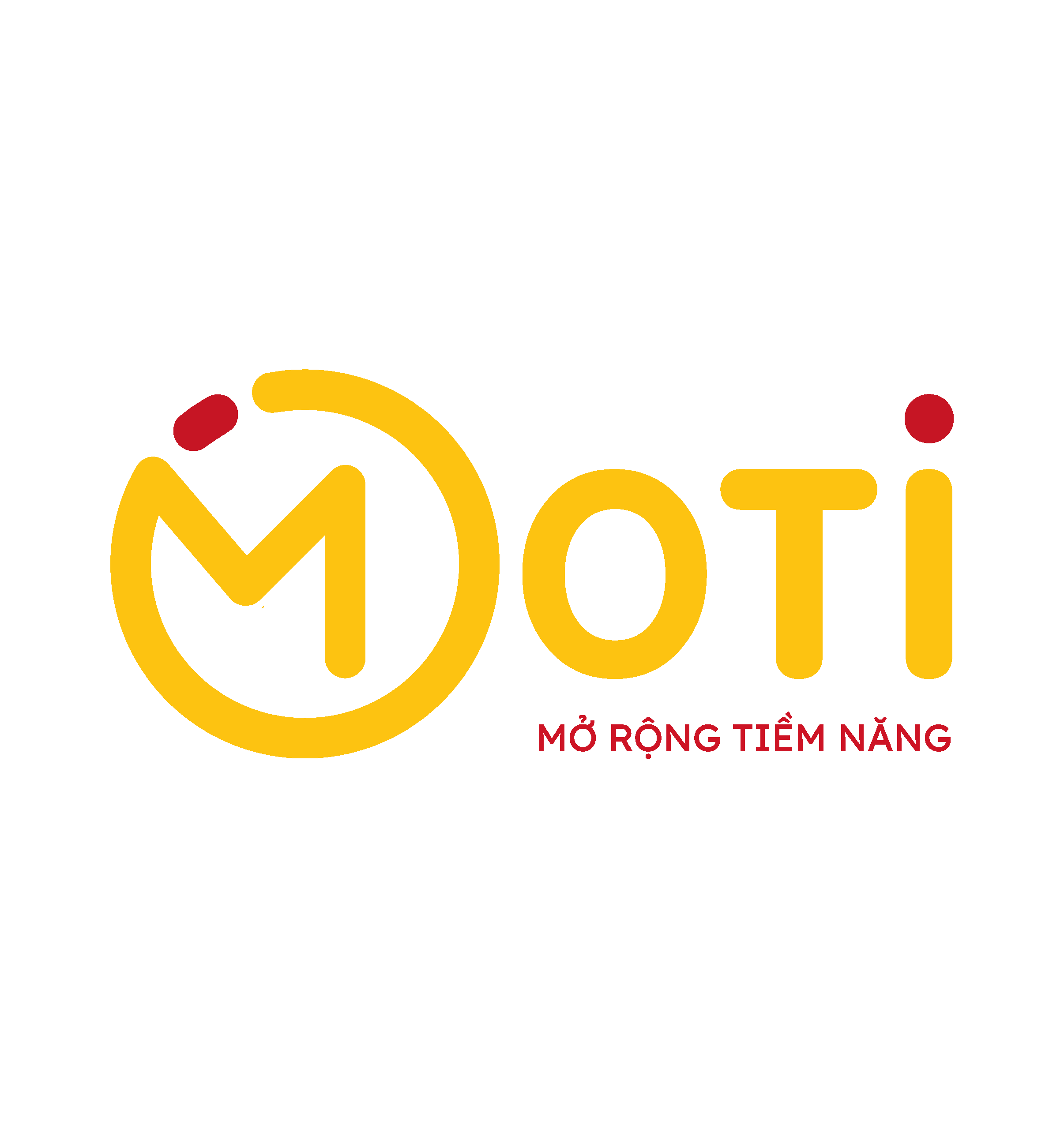 lĩnh vực hoạt động